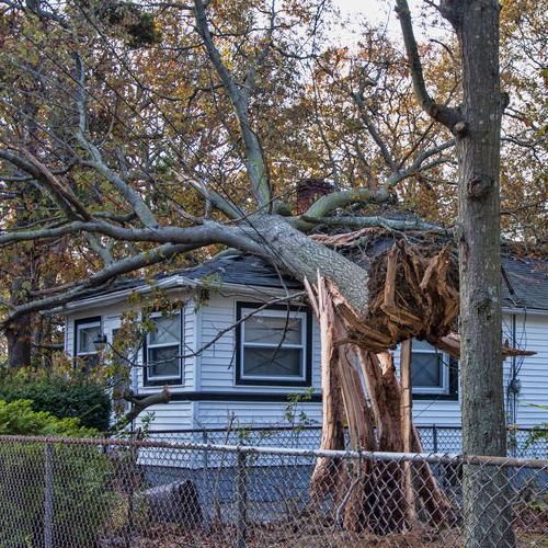 A Tree Has Fallen on a Roof.